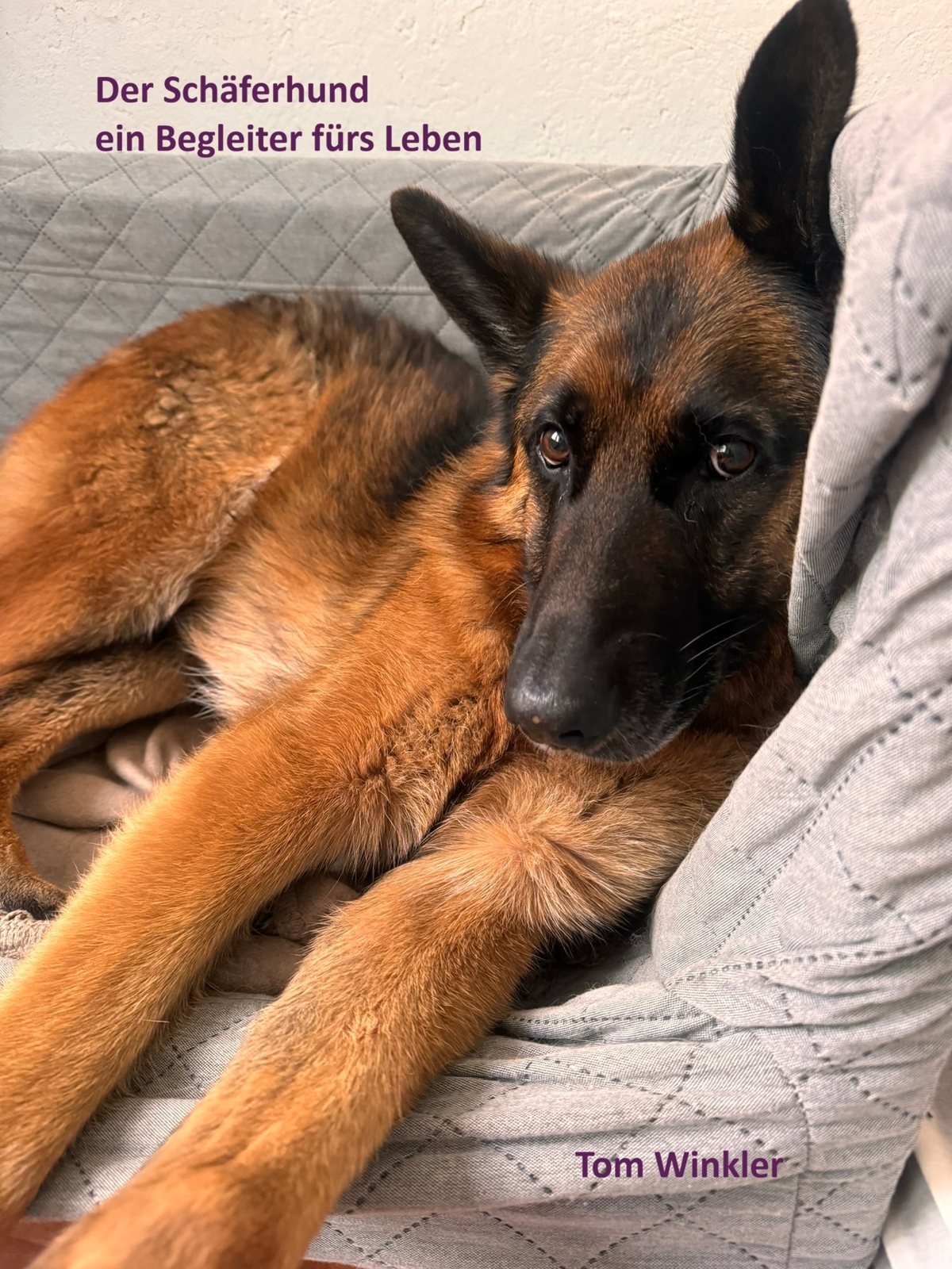 Buchcover Der Schäferhund – ein Begleiter fürs Leben